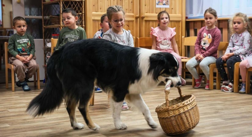 Panda, Simi és Vidra okozott vidámságot az egri ovisoknak  fotók, videó