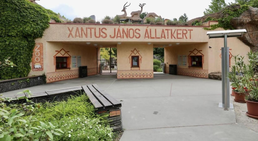 Lakossági fórumot tartanak a győri állatkert tervezett bővítéséről