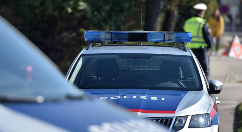 Durva állatkínzás Burgenlandban: vízpumpafogóval vert agyon egy állatot a férfi