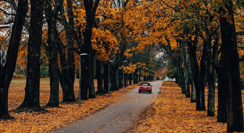 Most jön az igazán veszélyes helyzet a magyar utakon, erre most nagyon oda kell figyelni