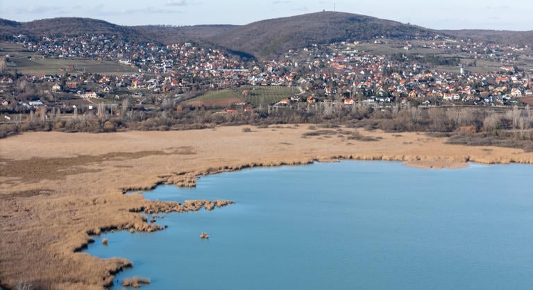 Egy villa építése miatt vágták ki a védett balatoni erdő egy részét, akár száz évig is tarthat a terület regenerációja