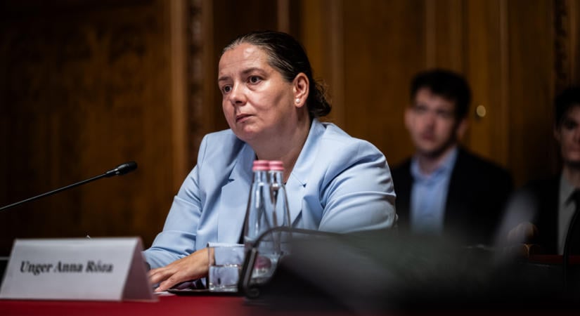 Kiderült, mennyit fizetnek Unger Anna és az NVVH vezetői védelméért