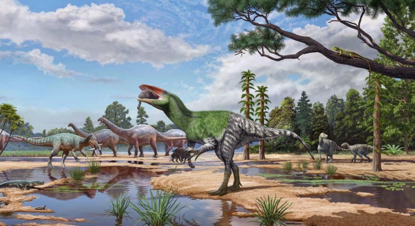 Száz év után derült ki, hogy új dinoszauruszfajt rejtenek a fiókban porosodó csontok