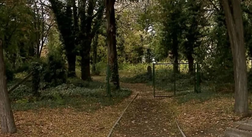 Megrázó részleteket árult el a Kecskeméten meggyilkolt nő barátja - videó