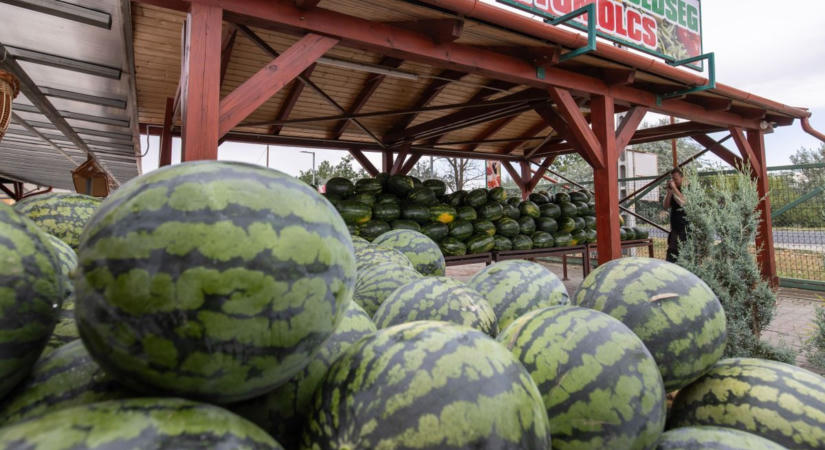 A nyár egyik slágere volt az ellenőrzések fókuszában, aminek ez lett az eredménye