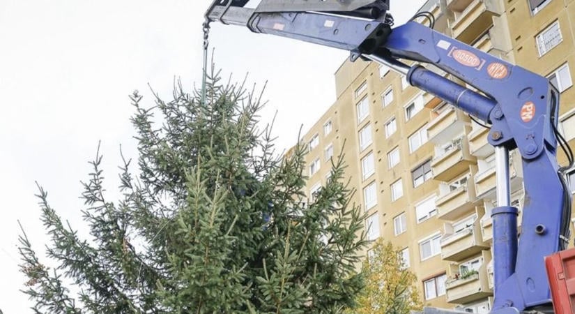Kánikulából a decemberi ünnepekbe: Győrben már keresik a városrészek legszebb karácsonyfáit