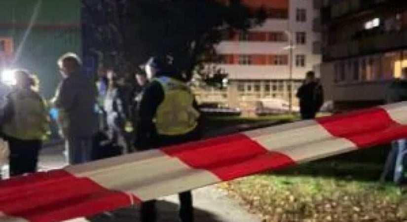 Pisztollyal nyitott tüzet a nyílt utcán egy férfi Kijevben, egy személy meghalt, egy megsebesült