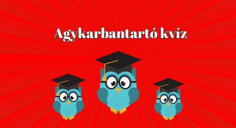 Agyfrissítő kvíz - Pont neked való kérdésekkel érkezett be a kvízvonat