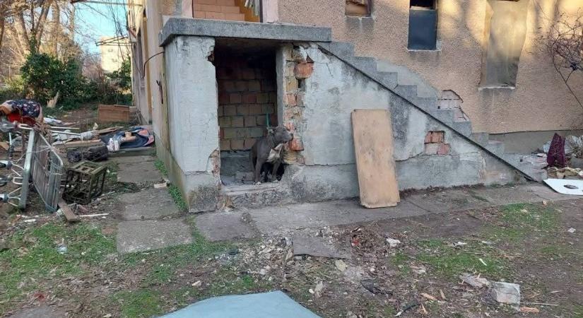Megdöbbentő állítás Rákosrendezőről: a leszakadt vármegyékből özönlöttek a lakásfoglalók – senki sem tudja, véget ért-e a beáramlás