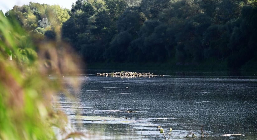 Különleges adat érkezett Óballáról – itt „bújik meg" a Tisza legmélyebb pontja – mutatjuk, hány méter