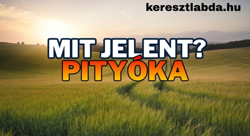 Tájszólás feladat: Erdélyben mindenki érti a pityóka szót, te is?