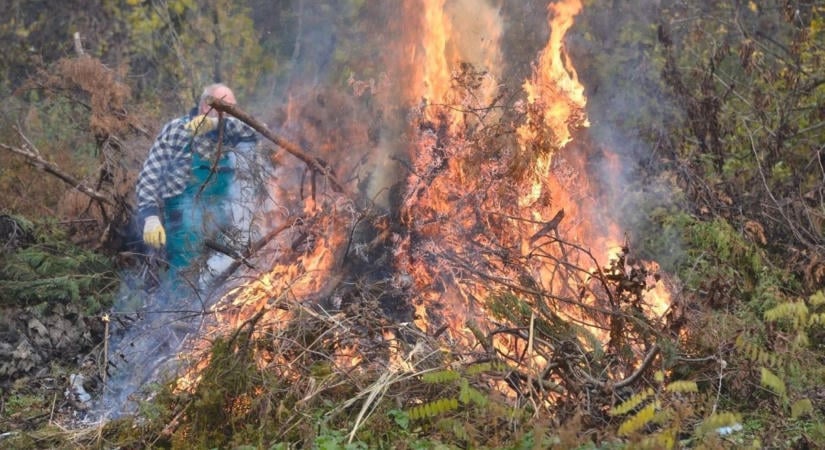 Nagyot hibázhat, aki most gyújtja meg az avart a kertben