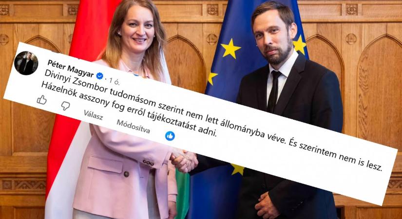Divinyi Zsombor kinevezése elmaradt, noha 94 pályázó közül jelölték – A revizor és a kinevezés előtti tekintély