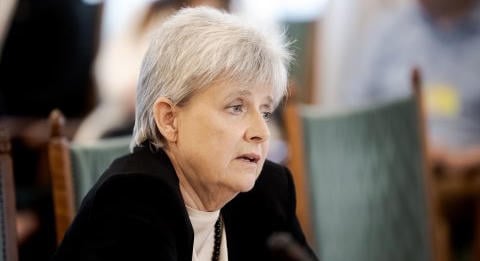 Lannert Judit: A közösségi média a középosztálybeli gyerekeket is lebutítja