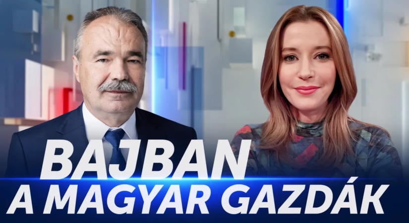 Belső piaci problémák és az emelkedő üzemanyagárak nehezítik a magyar gazdák helyzetét