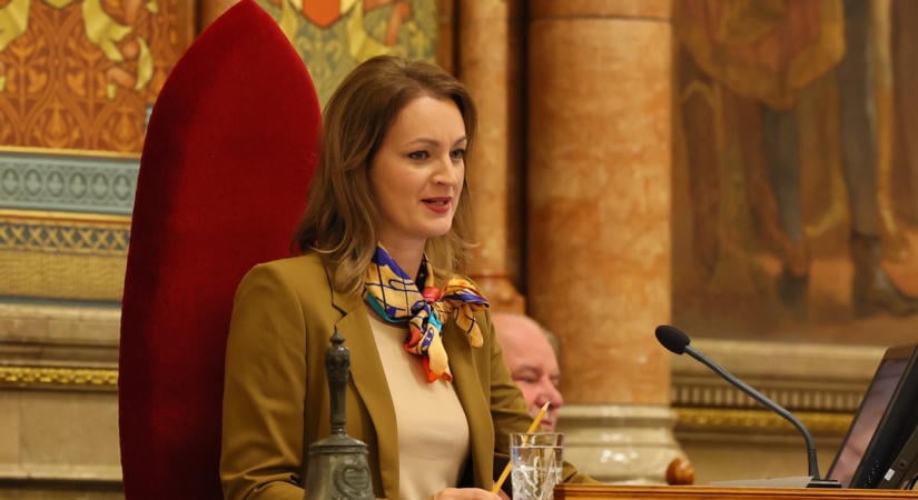 Meg kell büntetni Forsthoffer Ágnest, mert kihagyta a vagyonbevallásából a családi vállalkozást?
