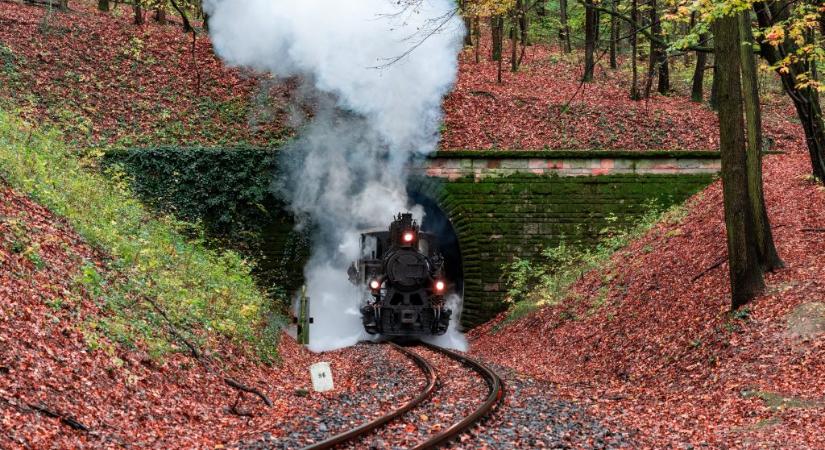 A Transzszibériai expressztől a normafai kisvasútig: Mennyit tudsz a vonatokról?