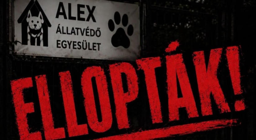 Ellopták az egyik menhely kukáját – Az állatok ellátását is veszélybe sodorta a pofátlan cselekedet