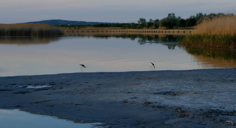 Súlyos, fordulat. Az iszapba ragadt nő életéért küzdöttek a Velencei-tóban, azután...