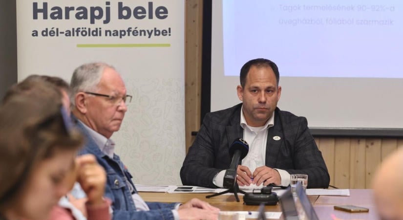 Árrésstop ki, 5 százalékos áfa be: ezt kérik most a magyar zöldségtermelők
