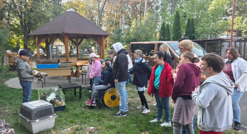 Állatok testközelből – különleges délelőtt az Éltes iskolában