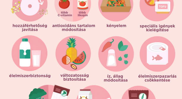 A feldolgozott élelmiszerek szerepe