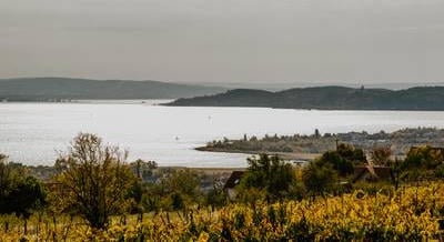 Októberi programkavalkád a Balatonnál: 20 kihagyhatatlan gasztrofesztivál, borkóstoló és családi program