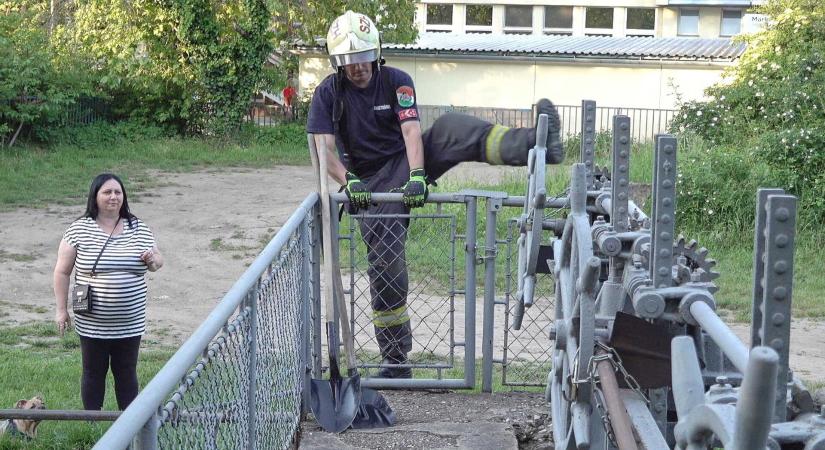 Beszorult vaddisznóhoz vonultak, de hódot mentettek a tűzoltók Szombathelyen
