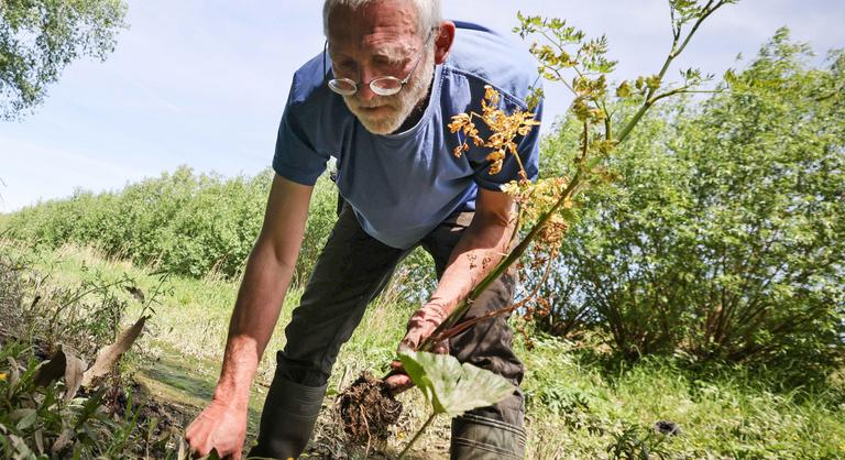 Kovács Krisztián: Csak az idő marad