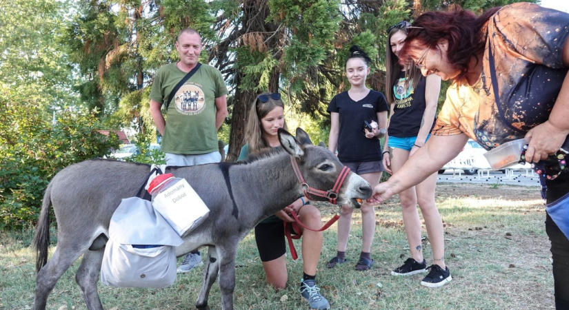 Ott vagyunk már? Szamárral kerülik meg a Balatont, Alsóörsön is Foki volt a sztár (fotók, videó)