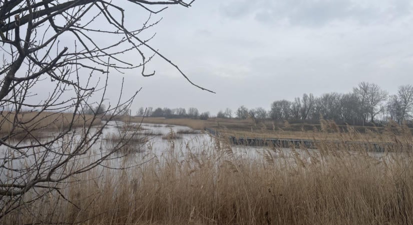 Útvesztőkben bolyong a világörökségi Fertő-táj együttműködési projektje