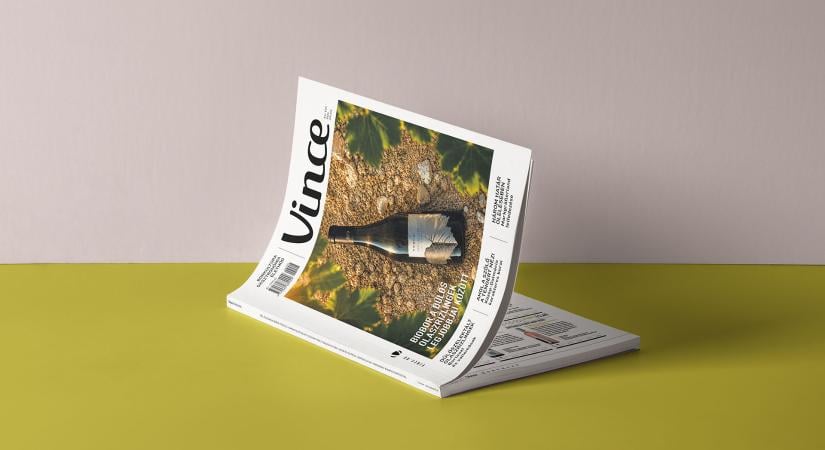 Már kapható a Vince Magazin júliusi lapszáma