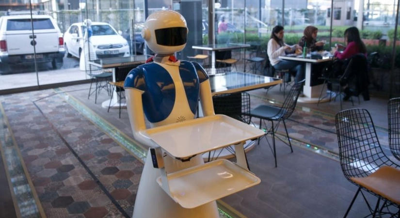 Te adnál borravalót egy robotnak? Hamarosan tényleg választanunk kell