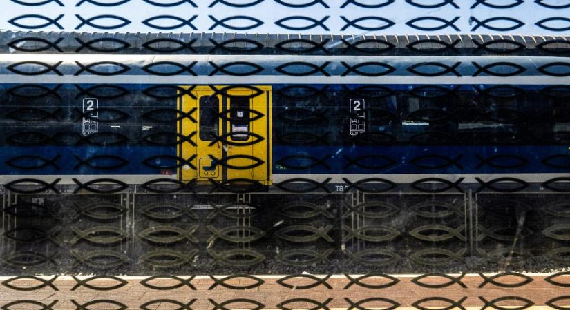 Vezetékre dőlt egy fa, bedöntötte a dél-balatoni vasútvonalat