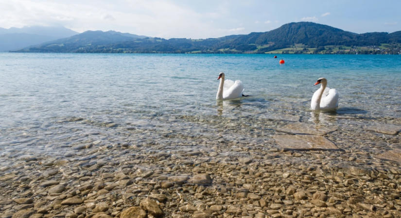 „Álhír, hogy nincs víz a tóban” – Kardos Gábor elmondta, mi a valóság a Balatonnál