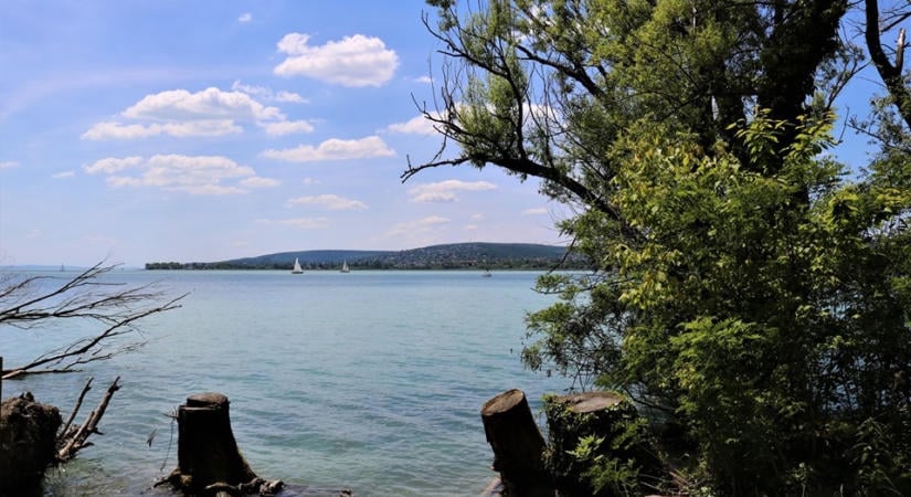 Balatonfűzfői szüret 2026