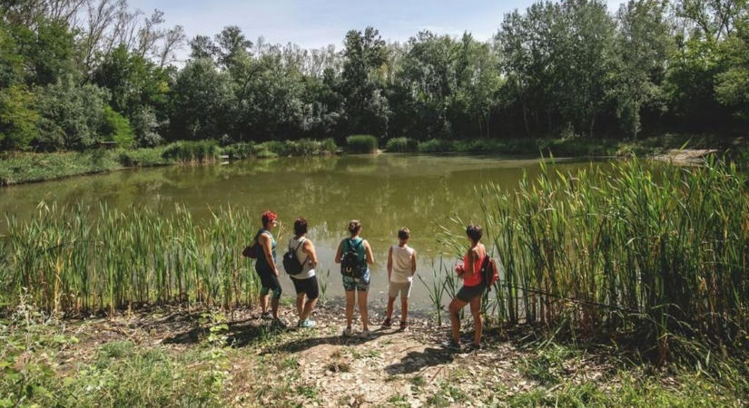 Kirándulóhelyek Hajdú-Biharban: ezt az 5 célpontot érdemes felfedezni a hétvégén