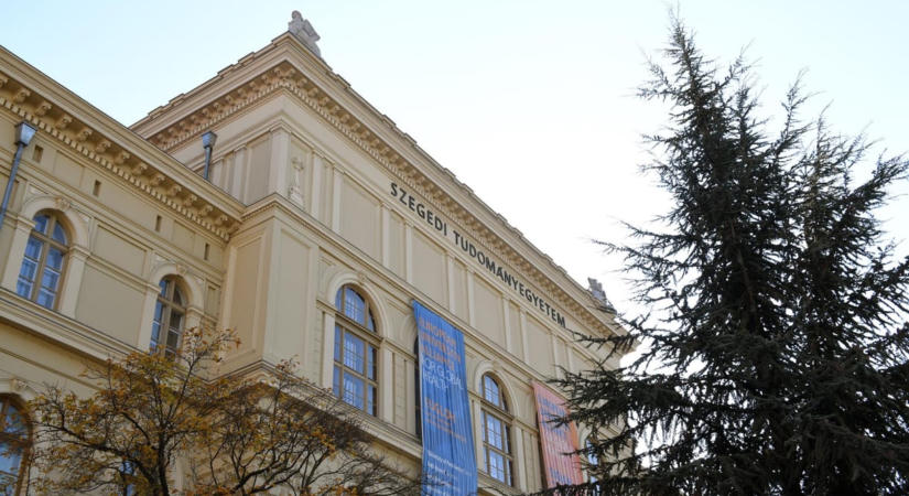 A fideszes képviselők megőriznék a kekvákat, de az Alkotmánybíróság visszautasította a beadványukat