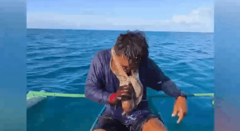 Polip tapadt egy halász arcára, alig tudott szabadulni a szorításából – videó