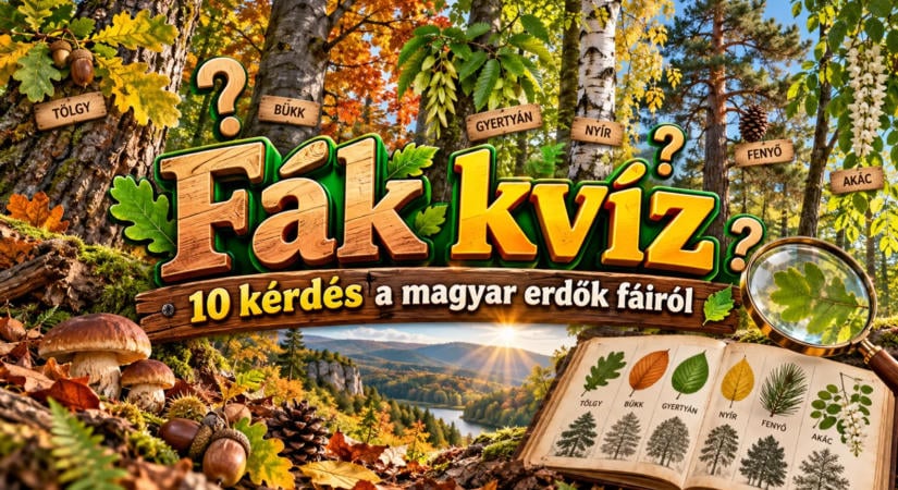 Fák kvíz: 10 kérdés a magyar erdők fáiról