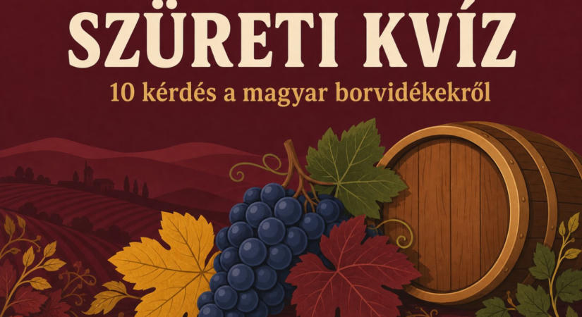 Szüreti kvíz: 10 kérdés a magyar borvidékekről