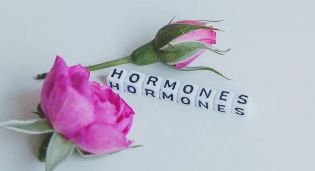 Hormonális változások: mikor jelez a szervezet?