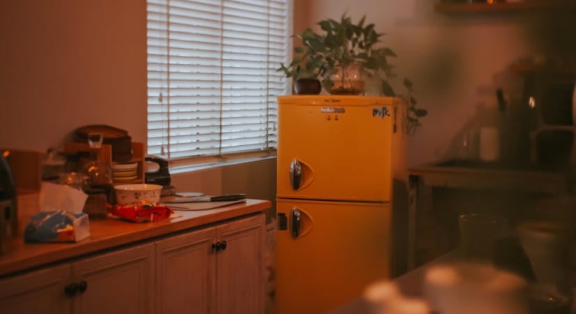 Tegyél egy pénzérmét a fagyasztóba utazás előtt – fontos dologról árulkodhat