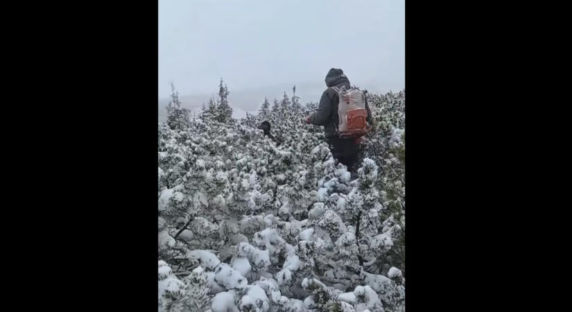 Eltévedt és majdnem megfagyott egy turista, aki a Hoverlára tartott