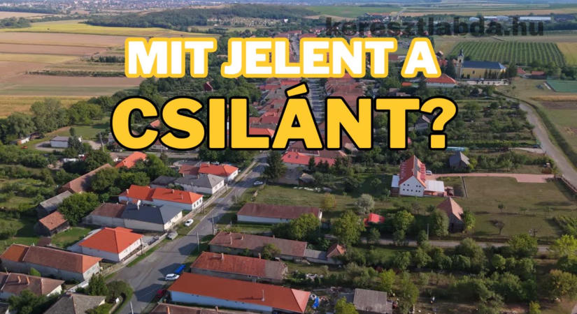 Tájszólás feladat: ezt a szót az idősek még használták, te érted?
