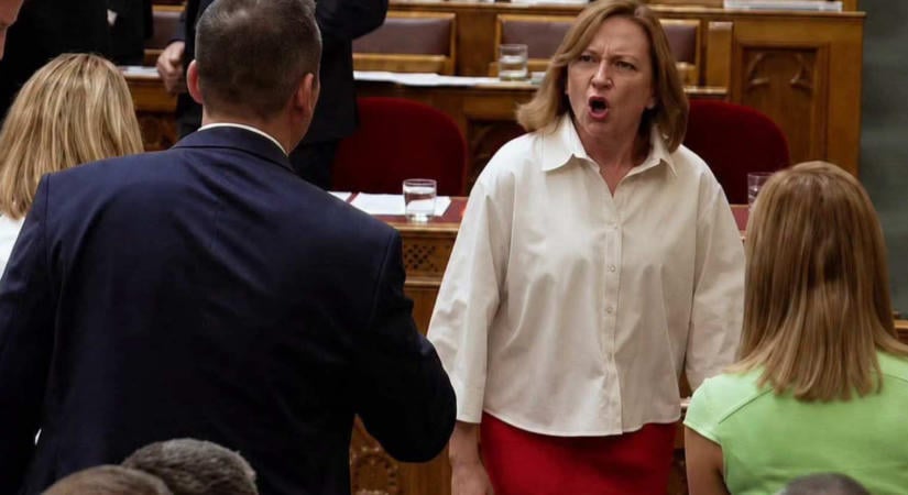 „Egyre pofátlanabbak a cigányok” – nyíltan rasszista posztot írt a Mi Hazánk politikusa