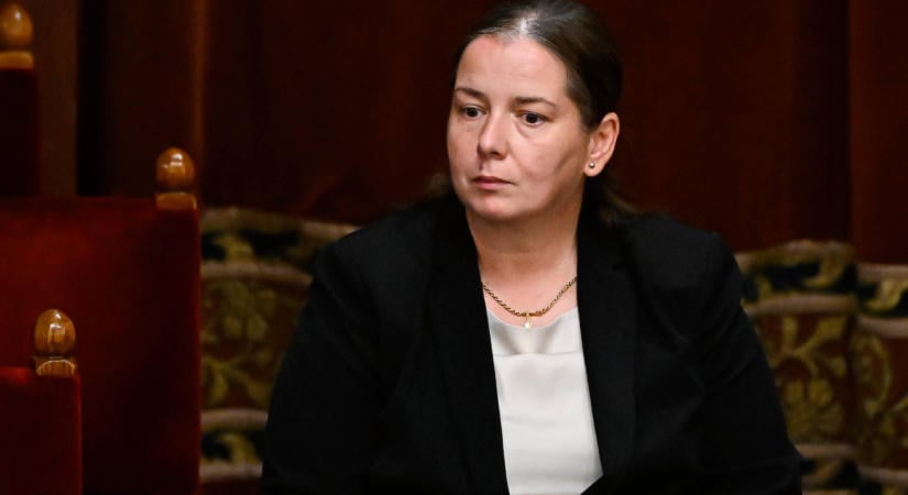 Kamufotóval támadják Unger Annát: a képet több ismert fideszes oldal is megosztotta