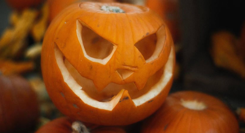 Mit kezdj a kifaragott tökkel halloween után? A sünöknek ne vidd ki a kertbe