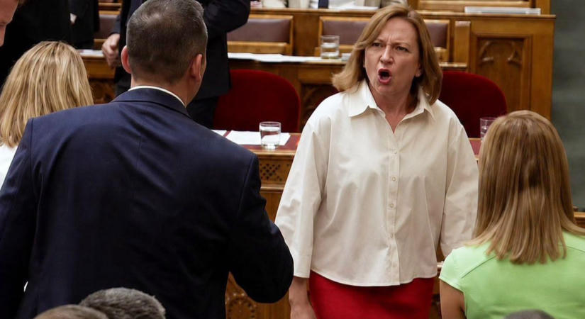 Parászka Boróka: Aki kiabál, kilábal