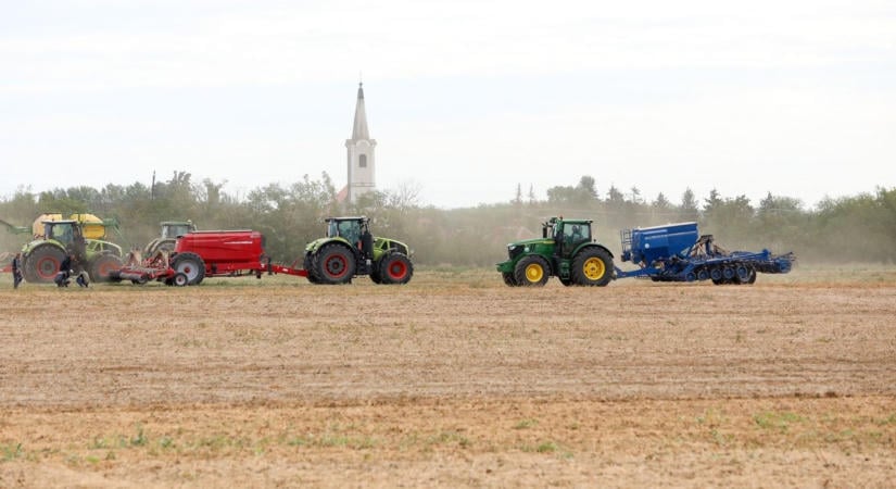 No-till Olimpa Vasszilvágyon - a költségcsökkentés lehet a túlélés kulcsa a brutális aszályok idején